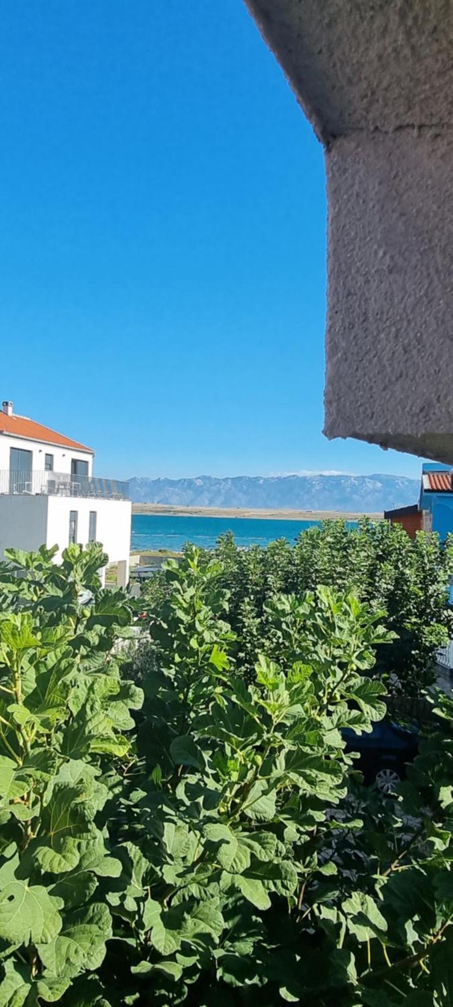 Villa Marija Vir Dış mekan fotoğraf